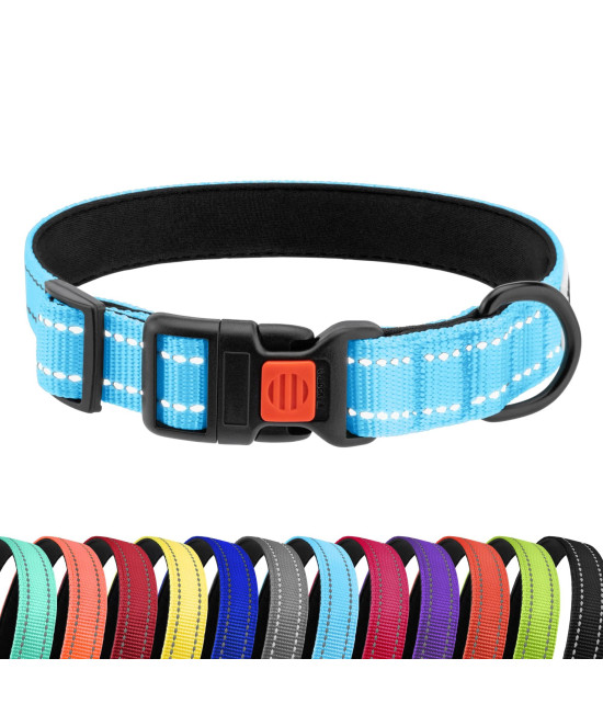 CollarDirect Reflective Padded Dog Collar for a Small, Medium, Large Dog or Puppy with a Quick Release Buckle - Boy and Girl - Nylon Suitable for Swimming (10-13 Inch, Light Blue)