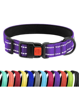 CollarDirect Reflective Padded Dog Collar for a Small, Medium, Large Dog or Puppy with a Quick Release Buckle - Boy and Girl - Nylon Suitable for Swimming (10-13 Inch, Purple)