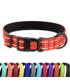 CollarDirect Reflective Padded Dog Collar for a Small, Medium, Large Dog or Puppy with a Quick Release Buckle - Boy and Girl - Nylon Suitable for Swimming (12-16 Inch, Orange)