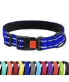 CollarDirect Reflective Padded Dog Collar for a Small, Medium, Large Dog or Puppy with a Quick Release Buckle - Boy and Girl - Nylon Suitable for Swimming (10-13 Inch, Blue)