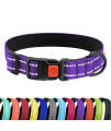 CollarDirect Reflective Padded Dog Collar for a Small, Medium, Large Dog or Puppy with a Quick Release Buckle - Boy and Girl - Nylon Suitable for Swimming (12-16 Inch, Purple)