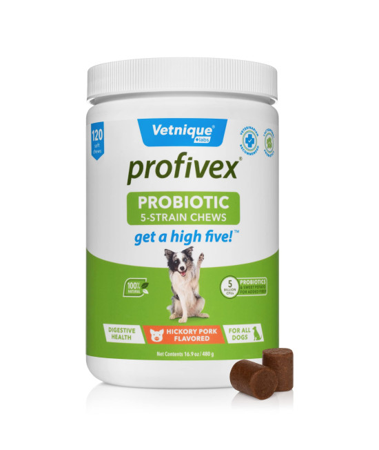 Vetnique Profivex Probiotics for Dogs All Natural Dog Chews & Powder for Digestive Health Probiotic Supplements for Dogs 5 Strains of Probiotics & Prebiotics (Soft Chews, 120ct)