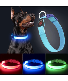 YFbrite Ultra Light USB Rechargeable LED Dog Collar - Adjustable Light up Dog Collar - Waterproof Dog Collar - Flashing Dog Collar Visiblity & Safety for Your Dogs (Design-3- Blue, Small)