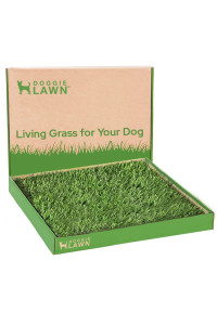 DoggieLawn Real Grass Puppy Pee Pads- 24 x 24 Inches - Perfect Indoor Litter Box for Dogs - No Mess, Easy-to-Use - Potty Training for Pets - Eco-Friendly Disposable Bathroom with Real Living Grass