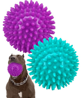 Pweituoet 2 Pack 4.5? Heavy Duty Squeaky Dog Ball for Medium Large Dogs, Spikey Dog Ball Toys for Clean Teeth and Training, Large Dog Toys for Aggressive Chewers?
