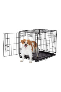 EveryYay Essentials 1-Door Folding Dog Crate, 24.5 L X 17.5 W X 19.5 H