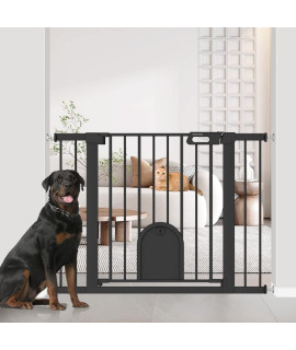 Mom's Choice Awards Winner-TSAYAWA Baby Gate with Cat Door 30to 40.5 Wide Black - Walk Through Small Pet Gate for Kitten Puppy Dog Doorway Stair- Pressure Mounted Child Safety Gate Stand 30inch Tall
