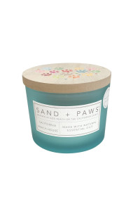 Sand + Paws Scented Candle - California Beach House -Luxurious Air Freshening Jar Candle Neutralize pet Odors and Enhance Home dcor - 100% Cotton Lead-Free wicks-12oz