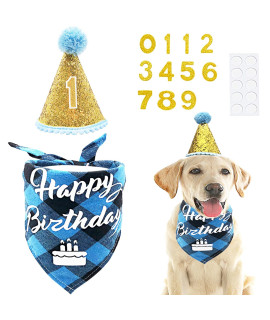PET SHOW Blue Cone Hat and Bandana Set Birthday Party Supplies for Boy Male Small Medium Large Dogs Cats Birthday Hat 0-9 Numbers
