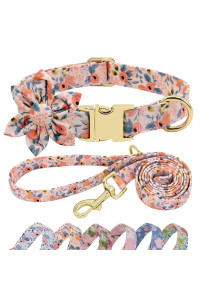 Beirui Cute Girl Dog Collar and Leash Set for Female Dogs- Floral Dog Collar with Flower for Small Medium Large Dogs Puppy, S:Neck 10-16, Leash 5FT, Orange-1