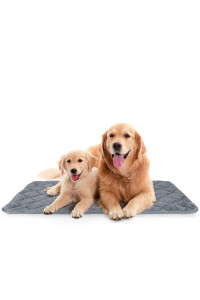 Mora Pets Crate Pad Mat Ultra Soft Dog Bed for Crate Cat Mat Bed with Anti-Slip Bottom Machine Washable Kennel Mat 22 24 30 36 42 inch Grey Pink