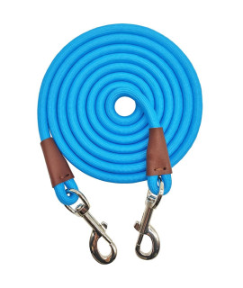 SEPXUFORE Tie Out Rope Dog Leash, 8/10/ 15/20/ 30FT Heavy Duty Nylon Check Cord for Medium Large Dogs Indoor/Outdoor Playing Camping Backyard (3/8 x 20ft, Blue)