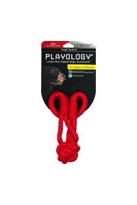 Playology Puppy Tough Knot Tug Toys - Chew Toys with Squeaker for Puppies 4-8 Months (up to 60lbs) - Engaging All-Natural Beef Scented Toy
