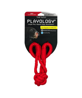 Playology Puppy Tough Knot Tug Toys - Chew Toys with Squeaker for Puppies 4-8 Months (up to 60lbs) - Engaging All-Natural Beef Scented Toy