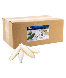 Birds Love 144 Packs Of 4 Per Pack (576 Cuttlebones) 35 - 4 Cuttlebone For Cockatiels Parakeets Budgies Finches Canaries Lovebirds Small Conures African Greys All Parrots, Full Case