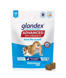 glandex Anal gland Soft chew Treats with Pumpkin for Dogs Digestive Enzymes, Probiotics Fiber Supplement for Dogs Boot The Scoot (Advanced Strength DuckBacon chews (Vegetarian), 30ct)