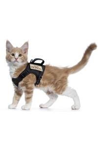 Tactical Cat Harness for Walking Escape Proof, Soft Mesh Adjustable Pet Vest Harness for Large Cat,Small Dog (Medium, Black)