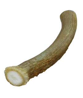 WhiteTail Naturals - Premium Deer Antlers for Dogs - (Small -1 Pack) - Made in USA Dog Antler - Naturally Shed, Long Lasting Chew Bone