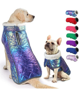 Fragralley Dog Winter Coat, Super Waterproof Winter Dog Jackets, Warm Coats for Dogs with Furry Collar, Windproof Reflective Dog Clothes Sweater Puppy Snow Jacket Coats for Small/Medium/Large Dogs.