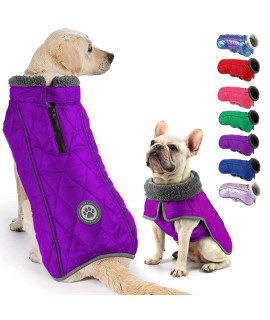 Fragralley Warm Dog Coats, Dog Winter Jacket with Thick Padded, Cold Weather Windproof Dog Clothes, Reflective Pet Apparel Puppy Vest for Small Medium Large Dogs with Leash Hole.
