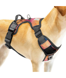 Embark Adventure Dog Harness, No Pull Dog Harness with 2 Leash clips, Dog Harness for Medium Dogs No Pull Front & Back with control Handle, Adjustable Dog Vest, Soft & Padded for comfort Red