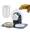 MRTIOO Enhanced Crested Gecko Feeding Ledge, with 30 pcs 0.5oz Food Cups, Reptile Food Bowls and Water Dish for Lizard Or Other Small Pet Amphibian Feeder Ledge Accessories Supplies