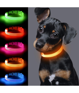 Light up Dog Collar for Small Dog,Vizpet XS Adjustable Size Nylon Collar USB Rechargeable Bright Safety Pet Collar for Cats Dogs (Orange)