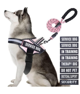 Service Dog Vest Harness and Leash Set, Animire in Training Dog Harness with 8 Dog Patches, Reflective Dog Leash with Soft Padded Handle for Small, Medium, Large, and Extra-Large Dogs
