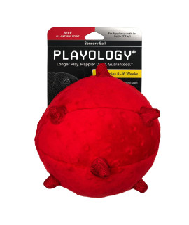 Playology Puppy Dog Ball Toys for Sensory Development - Stuffed Chew Dog Toys with Squeaker for Puppies 8-16 Weeks (Up to 60lbs) - Engaging All-Natural Beef Scented Toy