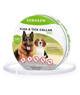 Sobaken Pets Flea Collar for Dogs, Flea and Tick Prevention for Dogs, Natural Dog Flea Collar, 1 Size Fits All, 25 inch, 8 Month Protection - 1 Pack