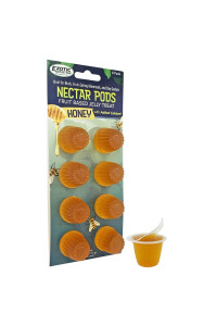 Nectar Pods (Honey) - Calcium-Fortified Jelly Fruit Treat - Sugar Gliders, Marmosets, Squirrels, Parrots, Cockatiels, Parakeets, Lovebirds, Conures, Hamsters, Geckos, Kinkajous & Other Small Pets
