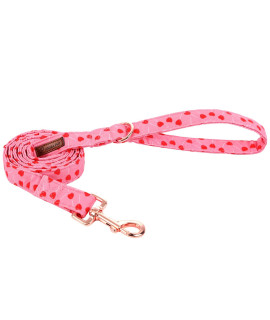 UP URARA PUP Valentine Dog Leash Match Dog Collar, Sturdy Durable Valentine?s Day Cotton Dog Leash, Pink Wedding Dog Training Leash for Small Medium Large Dog
