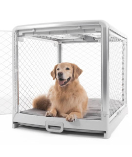 Diggs Revol Dog Crate (Collapsible Dog Crate, Portable Dog Crate, Travel Dog Crate, Dog Kennel) for Large Dogs and Puppies (Ash)