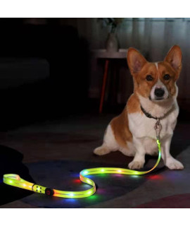 Light Up Dog Leash with Lights for Night Walking Lighted Dog Leashes Rechargeable Waterproof Led Dog Leash,Glow in The Dark Dog Leash Luminous Reflective for Pet Safety