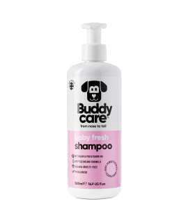 Baby Fresh Dog Shampoo by Buddycare Deep cleansing Shampoo for Dogs Fresh Scented with Aloe Vera and Pro Vitamin B5 (1690oz)