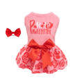 CuteBone Be My Pawlentine Dog Dress Velvet for Small Dogs Girl Puppy Dresses Pink Dog Clothes CVA08S-D