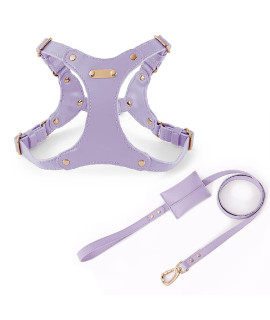 SLMHEALTHSH Small Dog Harness and Leash Set, Small Dog Harness,No Pull Adjustable Durable Dog Harness,Non-Stick Dog Hair Waterproof Leather Dog Harness (Purple Set, Small)