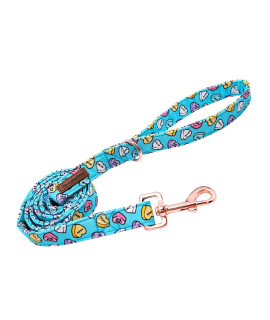 MR. CHUBBYFACE Valentines Dog Leash Strong Girl Pet Leash Durable Puppy Leash for Small Medium and Large Dogs