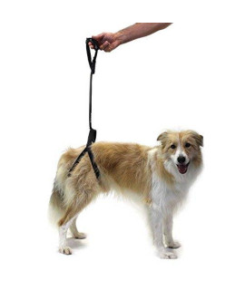Ortocanis - Rear Harness Support for Dogs, One Size (for Dogs from 4 to 55 kg)