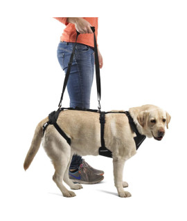 Ortocanis - Full-Body Dog Harness for Fore and Hind Support, Size L