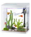 PONDON Betta Fish Tank, 3 gallon glass Aquarium, 3 in 1 Fish Tank with Filter and Light, Desktop Small Fish Tank for Betta Fish, guppies, goldfish