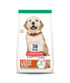 Hill's Science Diet Puppy Large Breed Lamb Meal & Brown Rice Recipe Dry Dog Food, 30 lb. Bag