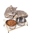 Trosetry Raised Cat Bowls, Double Stainless Steel Cat Food Bowls Non-Slip Elevated Pet Feeder with 15?ilted Neck Protective Bowl for Puppy Cats and Small Dogs Food and Water Feeding