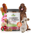 Strawfield Pets' Cranberry UTI + Bladder Soft Chews Cranberry Supplement for Dogs Urinary Tract - Bacon Flavor 120 Chews
