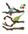 3 Packs Parrot Wood Perch,Natural Parrot Perch Bird Stand Pole Wild Grape Stick Climbing Standing Branches Toy Parakeet Toys Cage Accessories Toy Branches for Parakeet, Budgies, Lovebirds (Style-3)