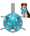 QDAN Dog Toys Soccer Ball, Interactive Dog Toys for Tug of War, Puppy Birthday Gifts,Dog Tug Toy, Dog Water Toy, Durable Dog Balls for Small & Medium Dogs-Lake Blue(8 inch)
