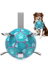 QDAN Dog Toys Soccer Ball, Interactive Dog Toys for Tug of War, Puppy Birthday Gifts,Dog Tug Toy, Dog Water Toy, Durable Dog Balls for Small & Medium Dogs-Lake Blue(8 inch)