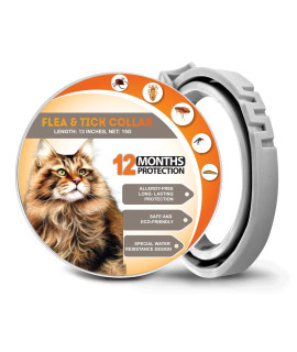 YiXiEr Collar for Cats 13 Inches, 12-Month Lasting Cat Collar, Cat Collars Made from Natural Essential Oils, Waterproof Collar for Cat All Breeds and Sizes