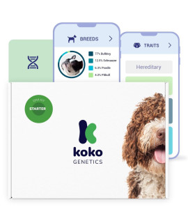 Koko DNA Test for Dogs Starter - (Breeds and Traits Reports) - Updates at no cost