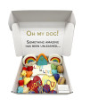 Summer Themed Dog Treats gift Box(D0102H52Y46)